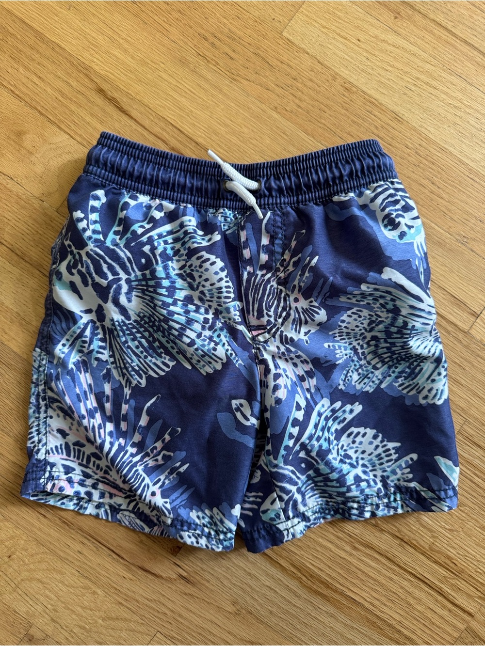 Boys Carter’s Swim Trunks 4T